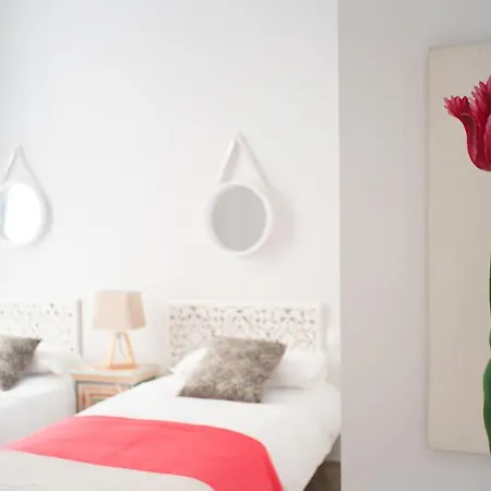 Apartment Alma